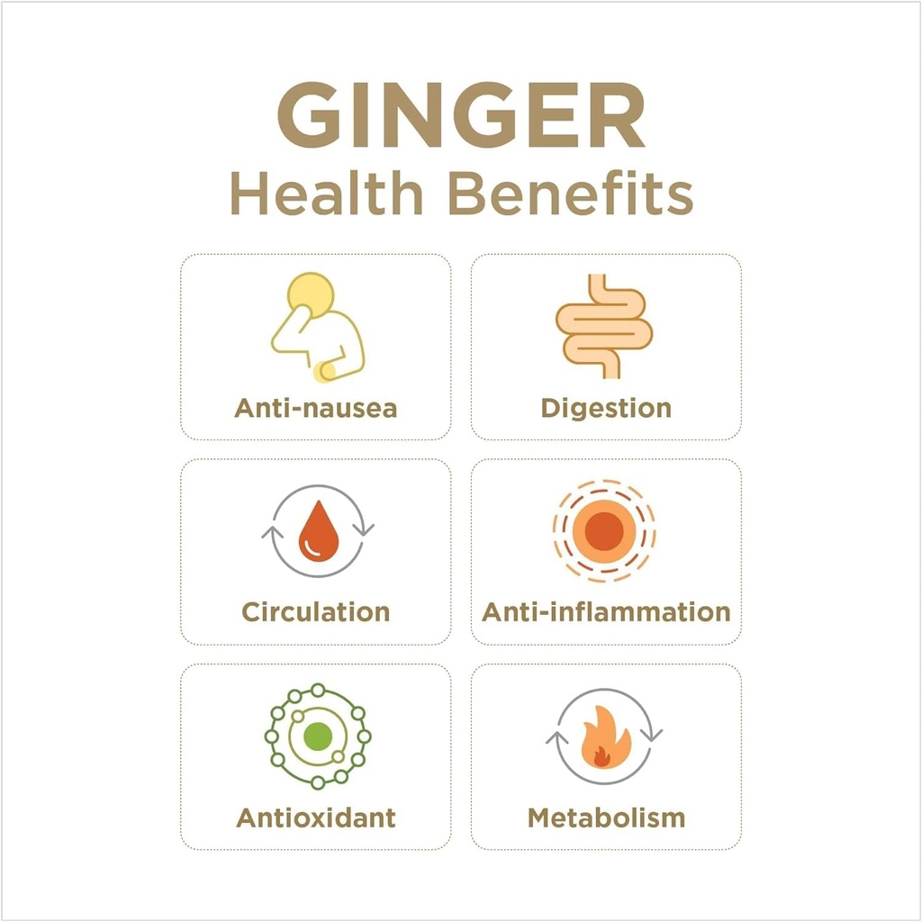 ginger-rescue-chewable-tablets-by-the-gi-4.jpg