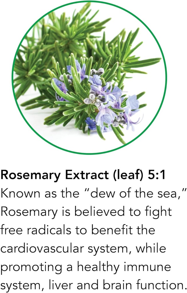 botanic-choice-rosemary-leaf-liquid-extr-4.jpg