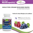 perfect-supplements-perfect-resgrape-res-3.jpg