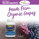 perfect-supplements-perfect-resgrape-res-5.jpg