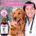 collagen-for-dogs-liquid-collagen-for-do-6.jpg