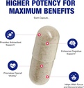 cognagen-memory-supplement-for-brain-sup-5.jpg