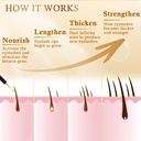 premium-eyelash-growth-serum-advanced-ve-5.jpg