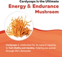 organic-cordyceps-mushroom-extract---70--6.jpg