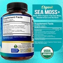 nutriflair-organic-sea-moss-1600mg-120-c-2.jpg