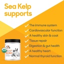 kelp-powder-for-dog-cat---organic-sea-ke-3.jpg