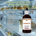horsetail-extract-tincture-for-bone-stre-4.jpg