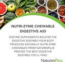 naturesplus-nutri-zyme---90-chewable-tab-2.jpg
