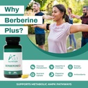 berberine-plus-triple-action-metabolic-s-3.jpg