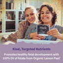 garden-of-life-organics-prenatal-vitamin-4.jpg
