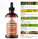 strauss-naturals-kidney-support-drops-he-4.jpg