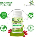 organic-herbsayurvedic-berberine-240-cap-4.jpg