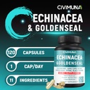 echinacea-extract-capsules-with-echinace-2.jpg