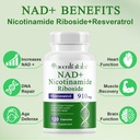 nad-supplement-nad-nicotinamide-riboside-3.jpg