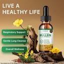 7-in-1-mullein-drops-for-lungs-2-fl-oz---5.jpg