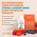 manna-vitamins-evolved-liposomal-elderbe-4.jpg