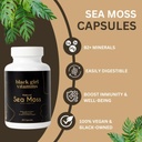 black-girl-vitamins---irish-sea-moss-cap-5.jpg
