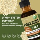 poke-root-extract-drops-for-lymph-system-2.jpg