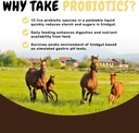 scd-probiotics-equine-plus---liquid-prob-5.jpg