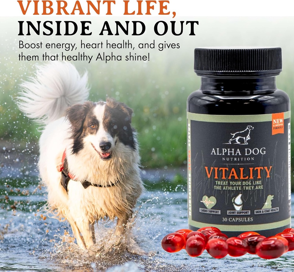 krill-oil-for-dogs---vitality-by-alpha-d-4.jpg