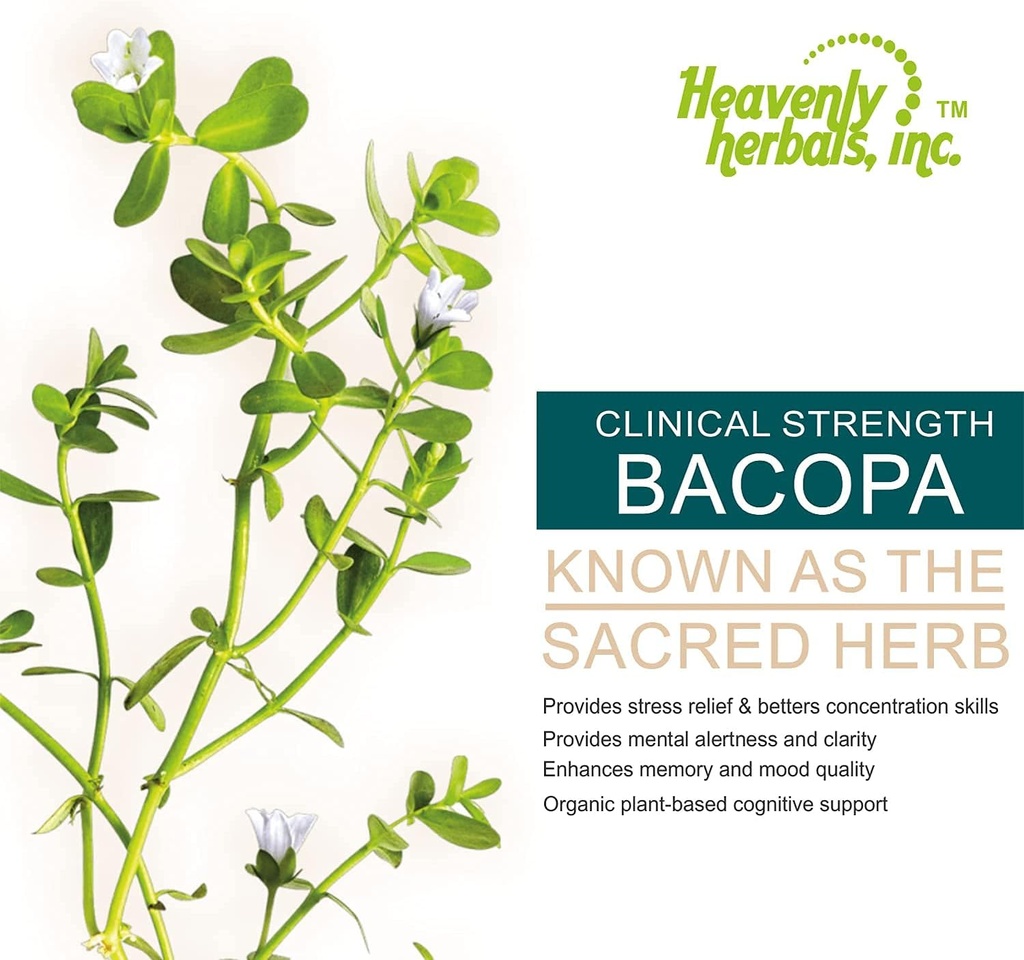 bacopa-drops--improves-memory-concentrat-3.jpg