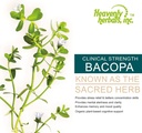 bacopa-drops--improves-memory-concentrat-3.jpg