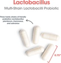 allergy-research-group-lactobacillus-sup-5.jpg