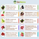 go-nutra-antioxidant-berries-blend-super-2.jpg
