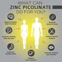 omnibiotics-zinc-picolinate-30mg-supplem-3.jpg