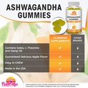 ashwagandha-gummies-with-l-theanine-gaba-2.jpg