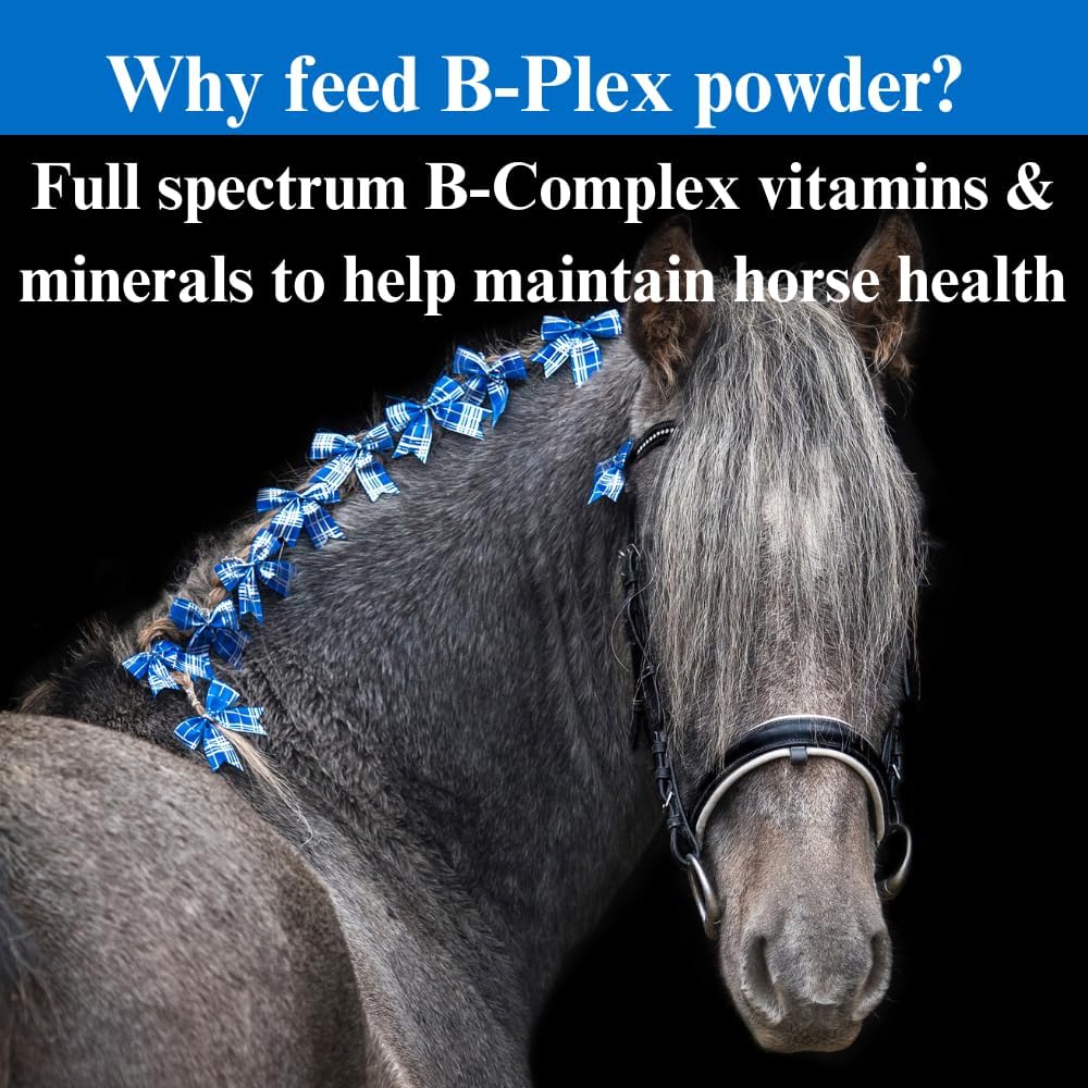 su-per-b-plex-powder-equine-vitamins---c-4.jpg