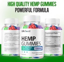 5-pack-life-boost-hemp-gummies-advanced--4.jpg