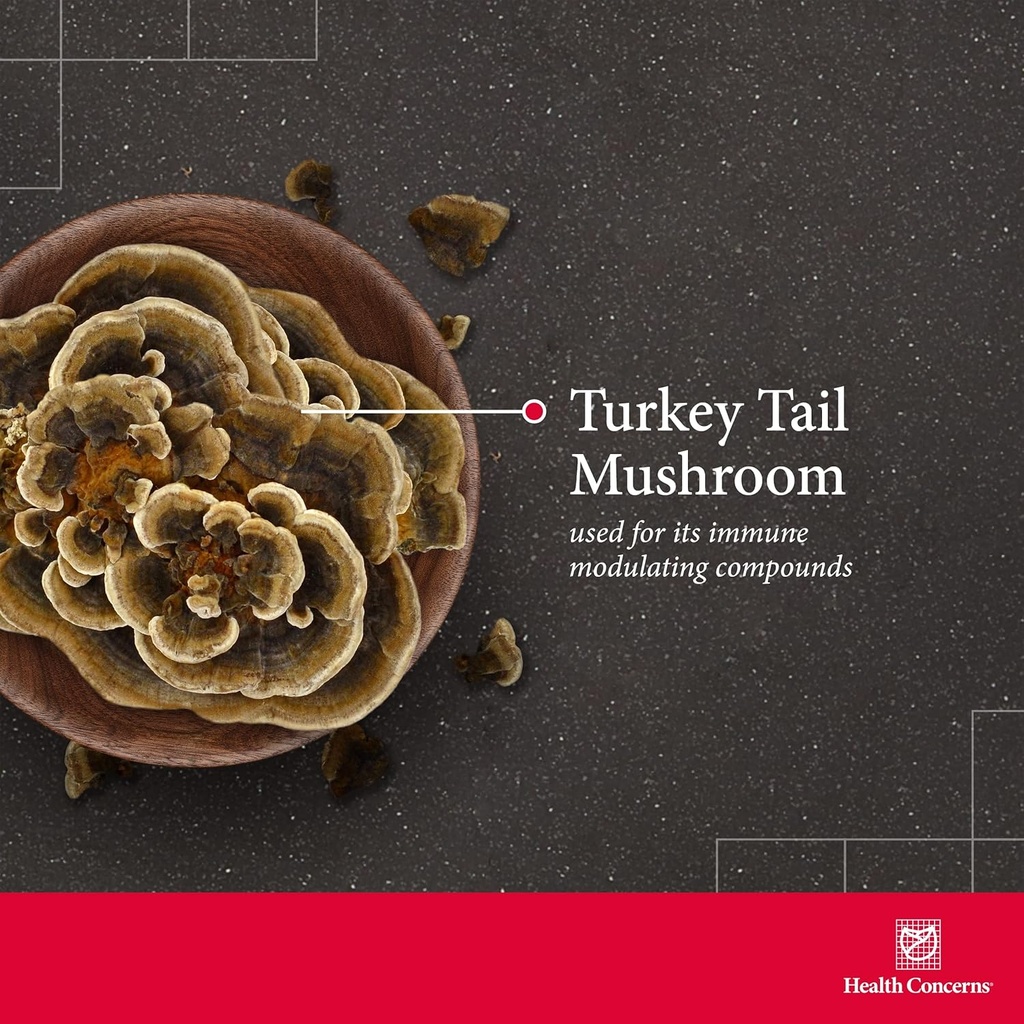 health-concerns-coriolus-ps-turkey-tail--3.jpg