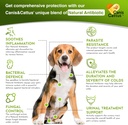cat-dog-vitamins-and-supplements-cat-mul-2.jpg