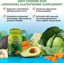 supplements-studio-antioxidant-cellular--2.jpg
