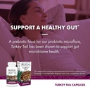 host-defense-turkey-tail-capsules---dige-5.jpg