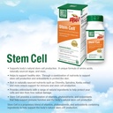 bell-stem-cell-supplements---supports-yo-2.jpg