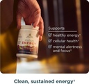 ancient-nutrition-clean-energy-powder-ch-5.jpg