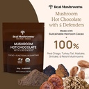 real-mushrooms-organic-hot-chocolate-mix-2.jpg