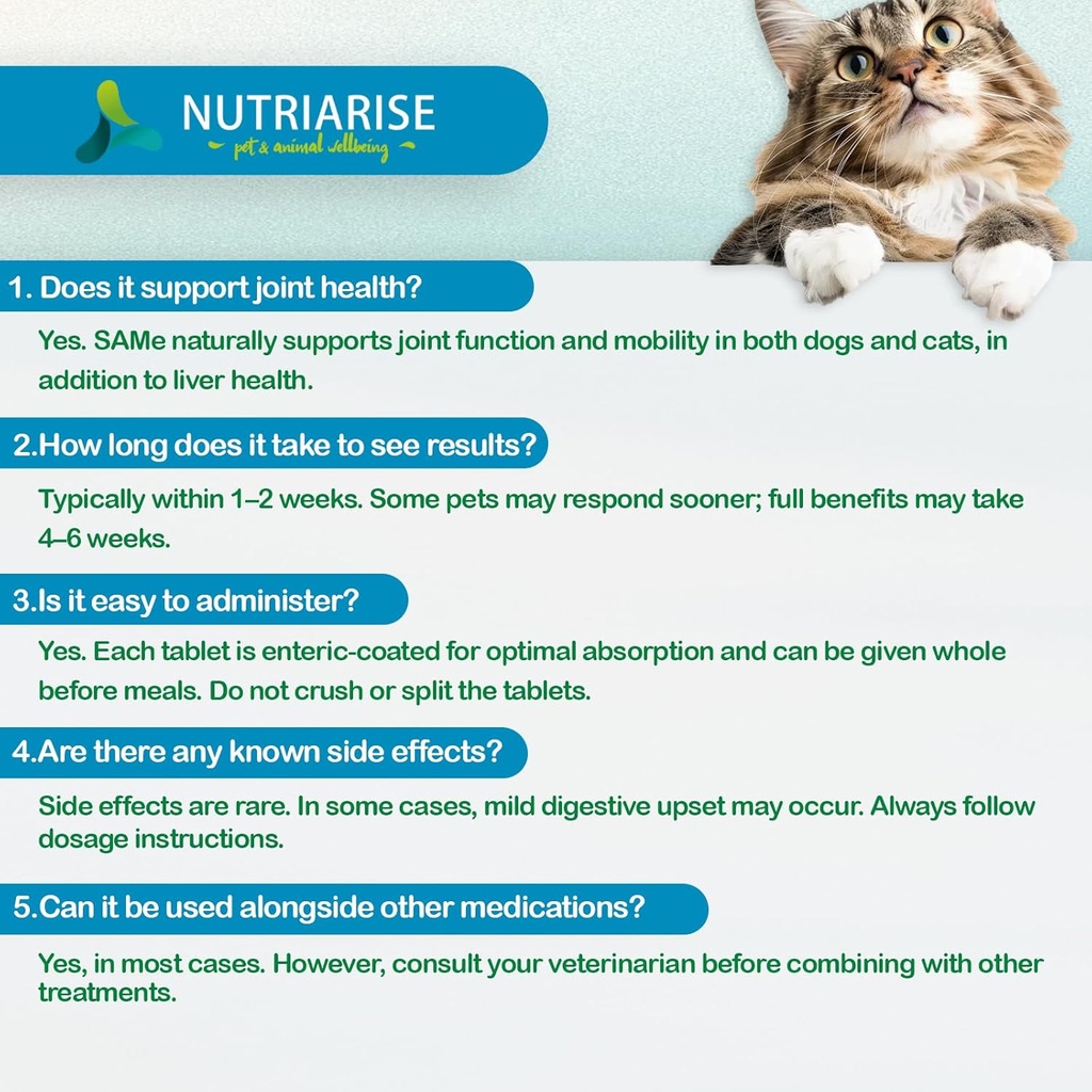 same-90-for-dogs-cats-liver-support-supp-6.jpg