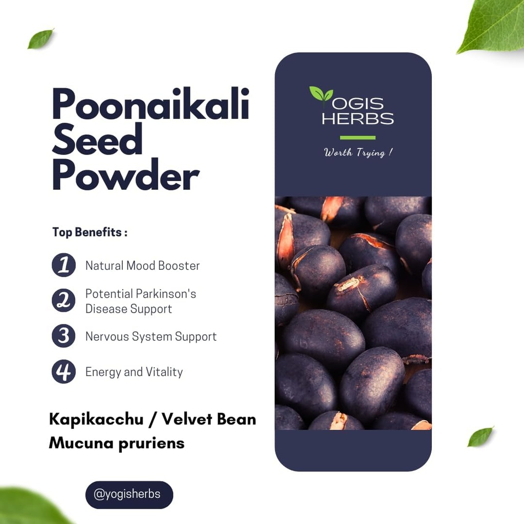 yogis-herbs-poonaikali-seed-powder-kapik-2.jpg