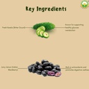 basic-ayurveda-karela-jamun-herbal-mix-p-5.jpg