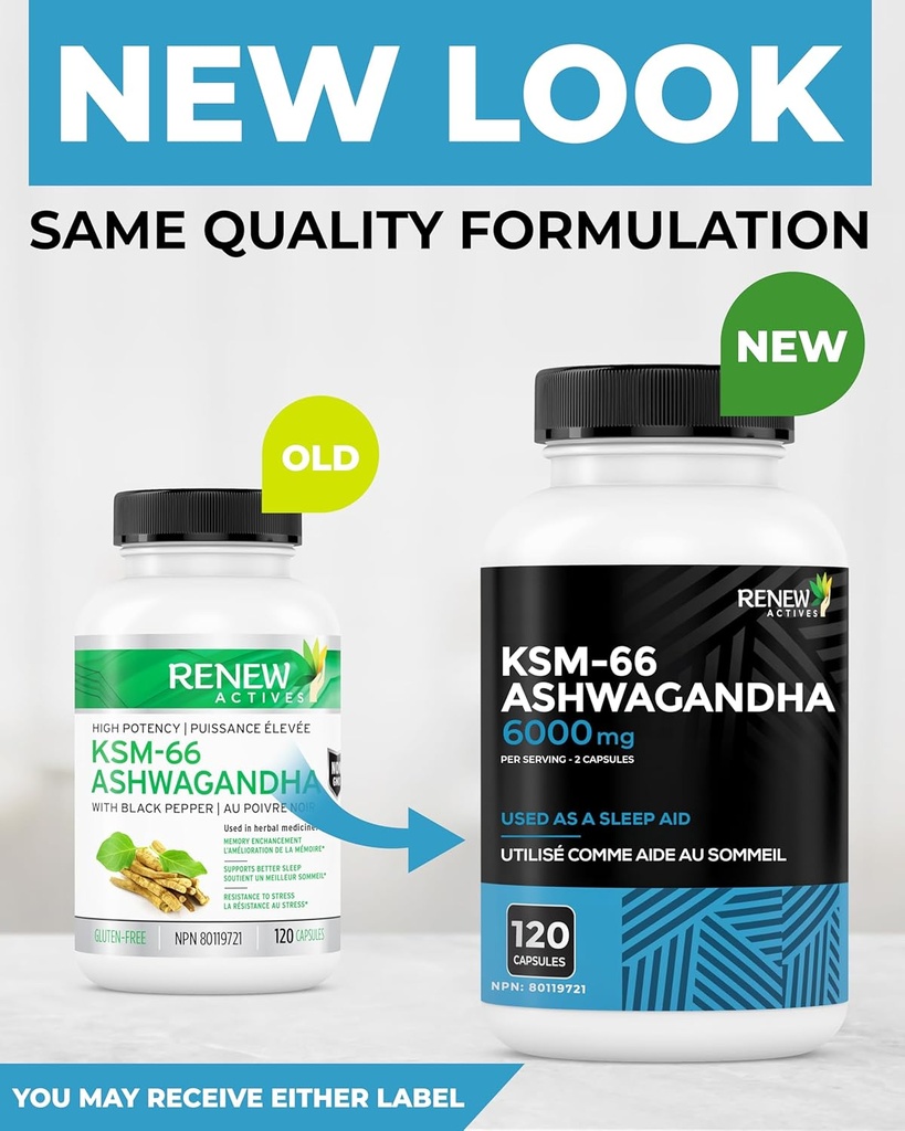 renew-actives-ashwagandha-ksm-66-supplem-3.jpg