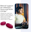 energy-efp-brain-booster---60ct-nootropi-6.jpg