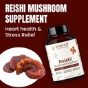 rooted-reishi-mushroom-extract-capsules--3.jpg