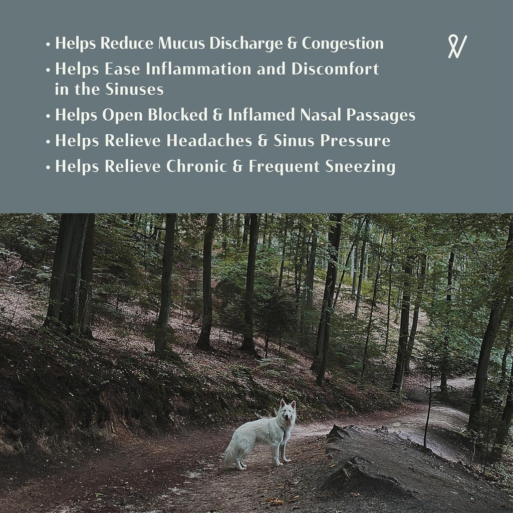 everpath-sinus-support-for-dogs---2-flui-4.jpg