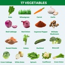 medical-miracles-fruit-and-vegetable-sup-5.jpg