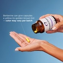 designs-for-health-berberine-synergy---b-4.jpg