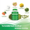 moringa-capsules-800mg-pure-moringa-powd-4.jpg