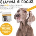 maxxipaws-maxxicardio-heart-cardiovascul-4.jpg